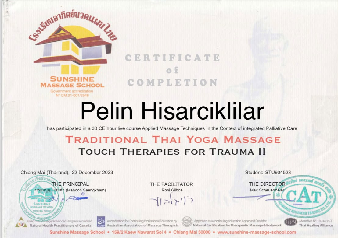 Touch Therapies for Trauma II certificate